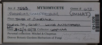 Image Associated With the Occurence